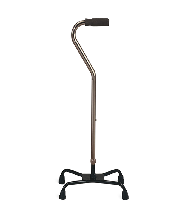 FS931 Walking Stick